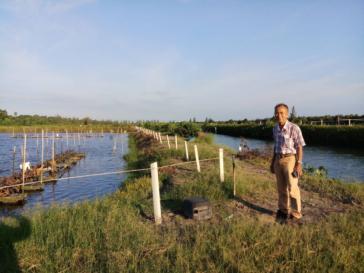 Sustainable Shrimp Farm at Pattani